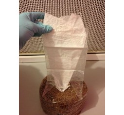 SOLD OUT - 1 x Tyvek Style Sleeve - Use when sterilizing bags 